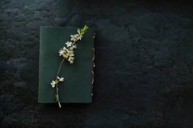 Eskiz defteri ve siyah arka planda bir kiraz filizi. konsept ilkbahar