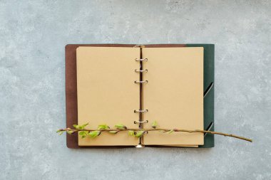 Eskiz defterini ve gri arka planda söğüt dalını aç. konsept ilkbahar