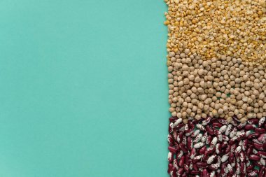 Farklı baklagiller. Fasulye, nohut ve bezelye. Beslenme kavramı