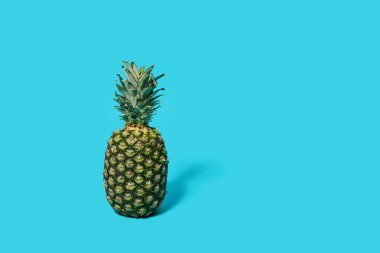 Güzel sulu ananas mavi bir arkaplanda izole edilmiş.