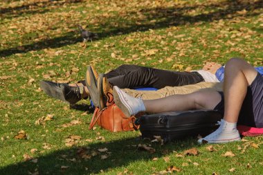 Parktaki çimlerin üzerinde spor ayakkabılı erkek bacakları. Yüzü olmayan adamlar bir yolculukta dinleniyorlar. Yorgunluk bacakları ve tatil kavramı.