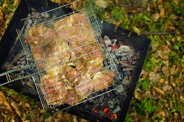 Proces gotowania mięsa na czarnym grillu w lesie na zielonej trawie. — Zdjęcie stockowe