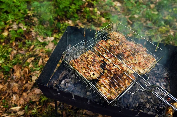 Grillowane mięso na grillu na tle zielonej trawy. — Zdjęcie stockowe