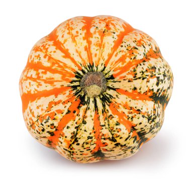 Kırpma yolu ile beyaz arka plan üzerinde renkli dekoratif kabak.