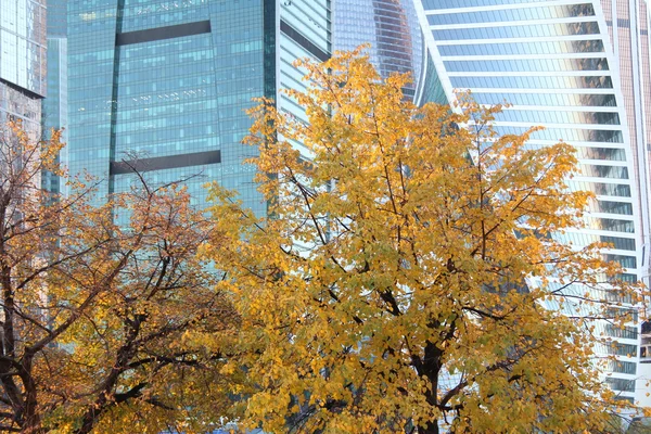 Moskova şehir yhe sonbahar