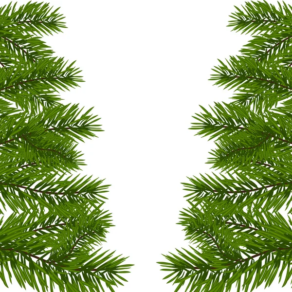 İki tarafı ile ladin yeşil yemyeşil dalı. Köknar dalları. Beyaz resimde yalıtılmış — Stok Vektör