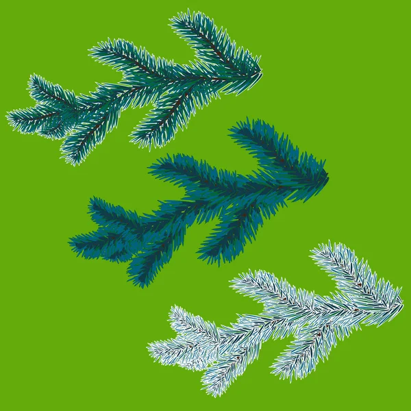 파란색 가문비 나무 가지 의 집합입니다. 크리스마스 트리 - 기호. 서리가 내린 가문비나무 가지. 벡터 일러스트레이션 — 스톡 벡터