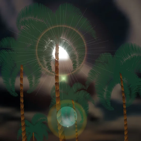 雷云背景中的棕榈树。太阳光。插图 — 图库矢量图片