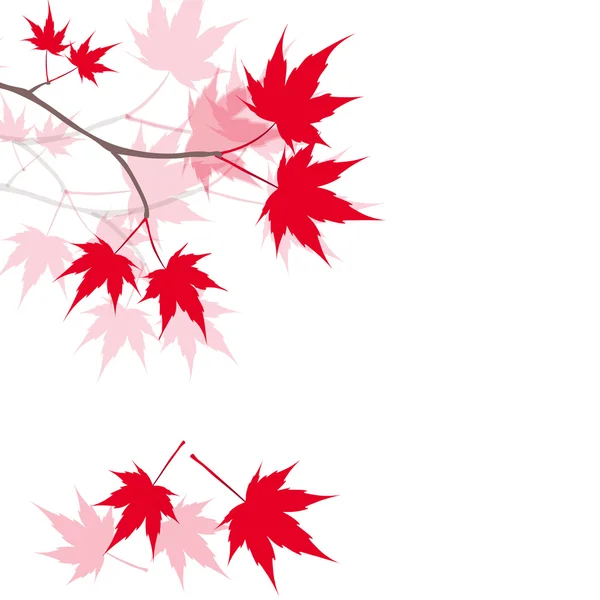 Feuilles d'érable rouge sur les branches. Érable rouge japonais. illustration — Image vectorielle