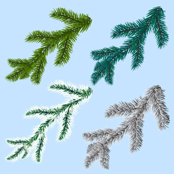 Conjunto de cuatro abetos, ramas de pino, aislados sobre un fondo azul. Ilustración del día de congelación — Vector de stock
