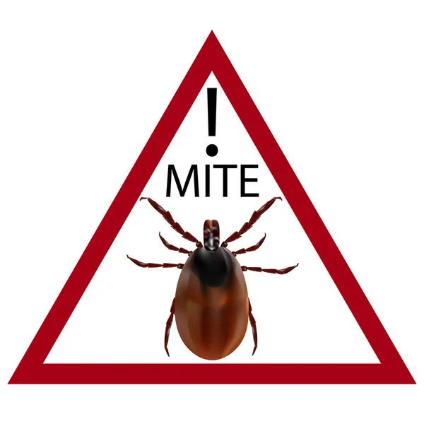 Señal de advertencia. Recolecta cuidadosamente el insecto. ilustración — Vector de stock