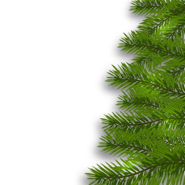 Yeşil yemyeşil şube gerçekçi bir el ve gölge ile yedi. İzole beyaz arka plan. illüstrasyon