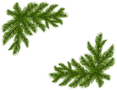 İki yeşil çam dalları gerçekçi. Köşelerde yer. Çam dalları. Beyaz arka plan üzerinde izole. Christmas illüstrasyon