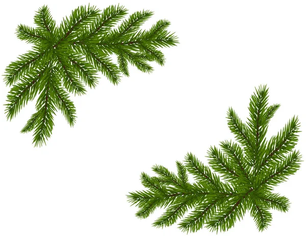 Dois ramos de abeto verde realista. Colocado nos cantos. Ramos de abeto. Isolado em fundo branco. Ilustração de Natal —  Vetores de Stock