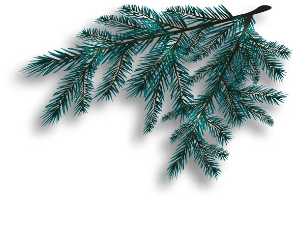 두 개의 파란색 현실적인 트리 분기입니다. 가문비나무 분기 모서리에 위치 합니다. 흰색 배경에 고립. 크리스마스 그림 — 스톡 벡터