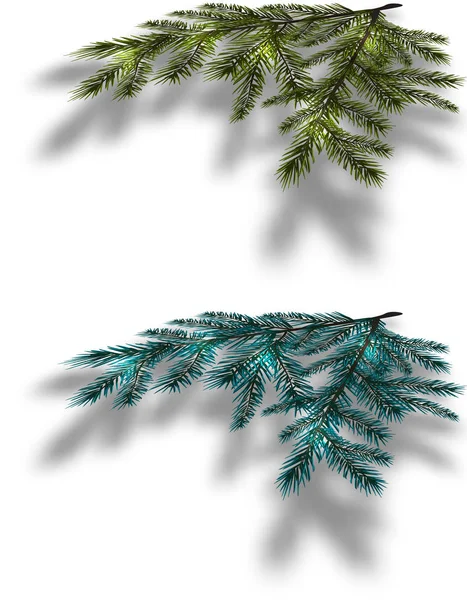 Blue and green Christmas tree branches on an isolated white background with the shadow in perspective. illustration — Stock Vector