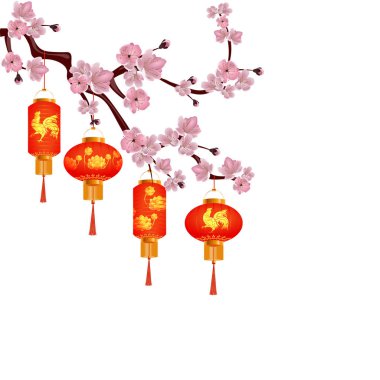 Turuncu-kırmızı Çin fenerler kiraz çiçek açması dal kümesi. Yuvarlak ve silindirik formu çizimleri horoz ve lotus. Beyaz arka plan üzerinde izole. illüstrasyon