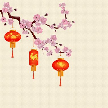 Kiraz çiçeği pembe çiçekli bir dalı asılı kırmızı Çin fenerler. Yuvarlak ve silindirik formu çizimleri ile. Sakura illüstrasyon