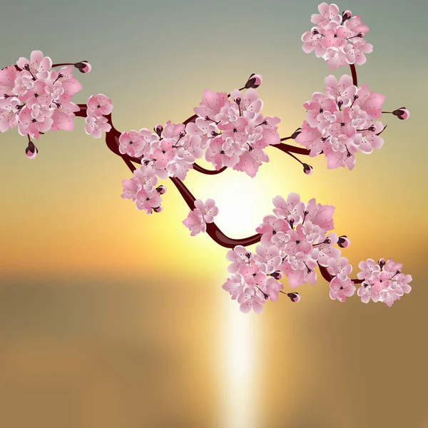 Cereza japonesa exuberante. Una rama de flor de cerezo rosa. Contra el telón de fondo de una hermosa puesta de sol. ilustración — Archivo Imágenes Vectoriales