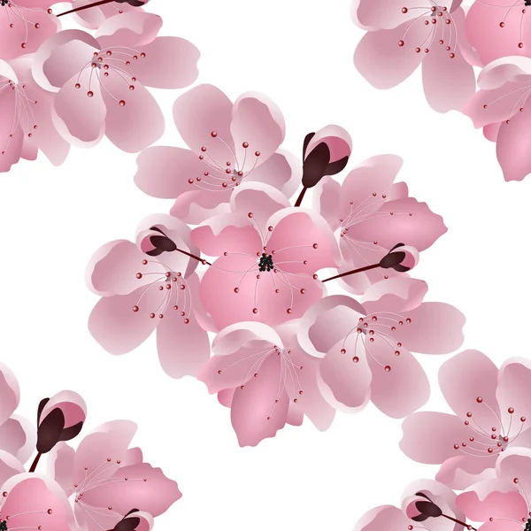 Cereza japonesa. Sin fisuras. Ramo de flor de sakura rosa con brote. Aislado sobre fondo blanco. ilustración — Archivo Imágenes Vectoriales