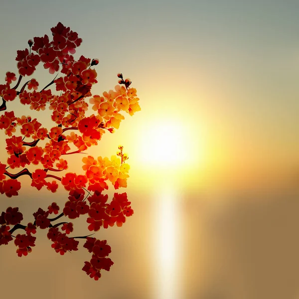ดอกซากุระญี่ปุ่น บุชซากุระบนพื้นหลังของพระอาทิตย์ตกที่สวยงาม ภาพประกอบ — ภาพเวกเตอร์สต็อก