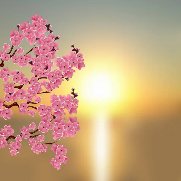 Sakura giapponese. Un ramo di fiori di ciliegio rosa scuro. Sullo sfondo di un bellissimo tramonto. illustrazione — Vettoriale Stock