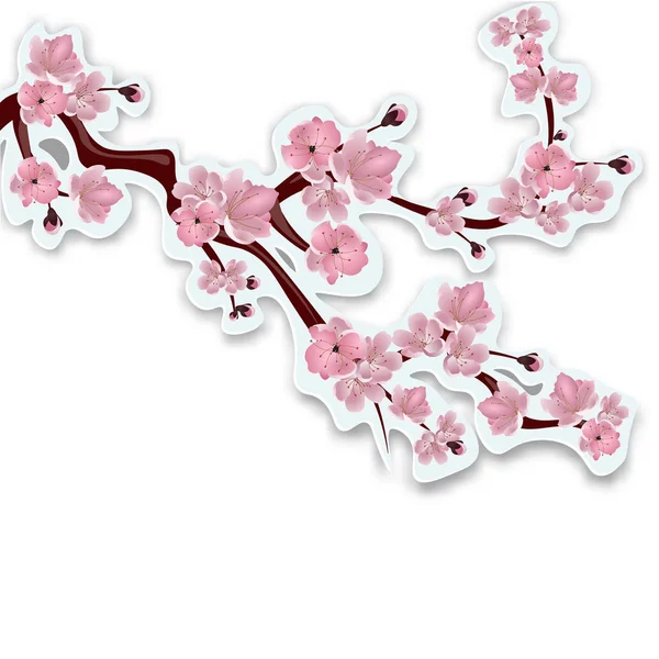 Sakura japonesa. La rama de flores de cerezo rosa pálido. Cortado de cartón con sombra. Aislado sobre fondo blanco. ilustración — Vector de stock