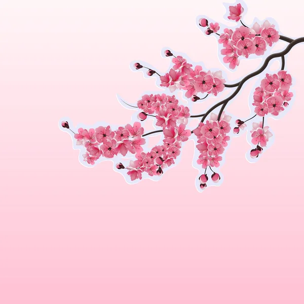 Japanse kers, sakura. Weelderige takken donker roze kersenbloesem close-up. Gesneden uit karton. illustratie — Stockvector