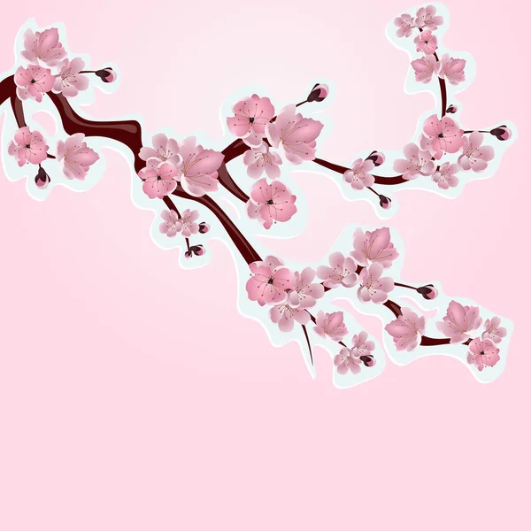 Cereza japonesa, sakura. Ramas exuberantes flor de cerezo rosa primer plano. Cortado de cartón. ilustración — Vector de stock