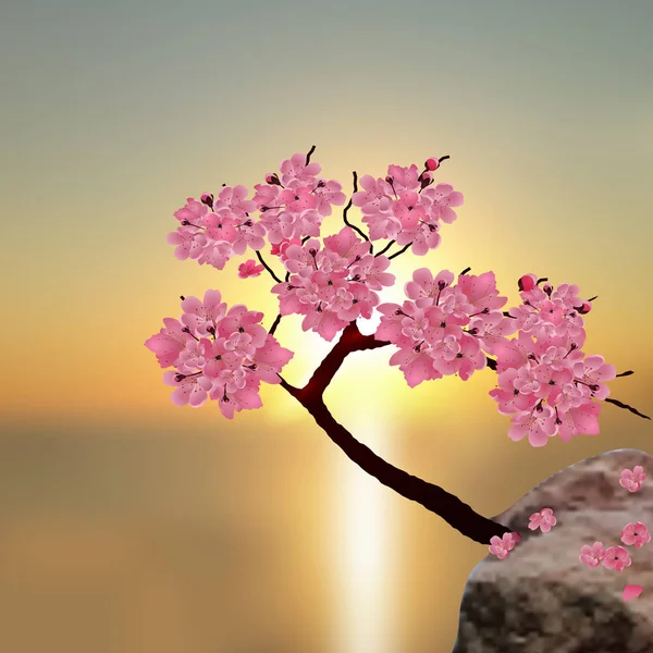 Saftiger japanischer Sakura. Baum rosa Kirsche auf dem Stein. vor dem Hintergrund eines wunderschönen Sonnenuntergangs. Illustration — Stockvektor