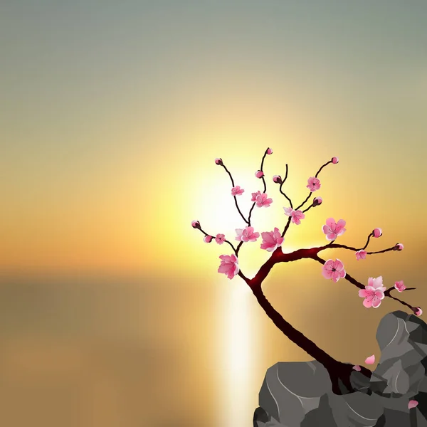 Japanska Sakura. Träd rosa cherry på stenen. Mot bakgrund av en vacker solnedgång. illustration — Stock vektor