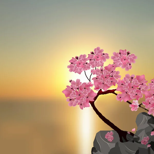 El exuberante Sakura japonés. Árbol de cereza rosa en la piedra. Contra el telón de fondo de una hermosa puesta de sol. ilustración — Vector de stock