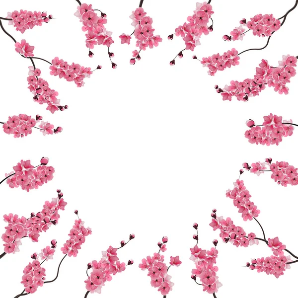 분홍색 벚꽃 지점입니다. 꽃 봉 오리입니다. 사쿠라입니다. 광고 공간, 텍스트 광고를 중심으로. 흰색 배경에 고립. 일러스트 레이 션 — 스톡 벡터