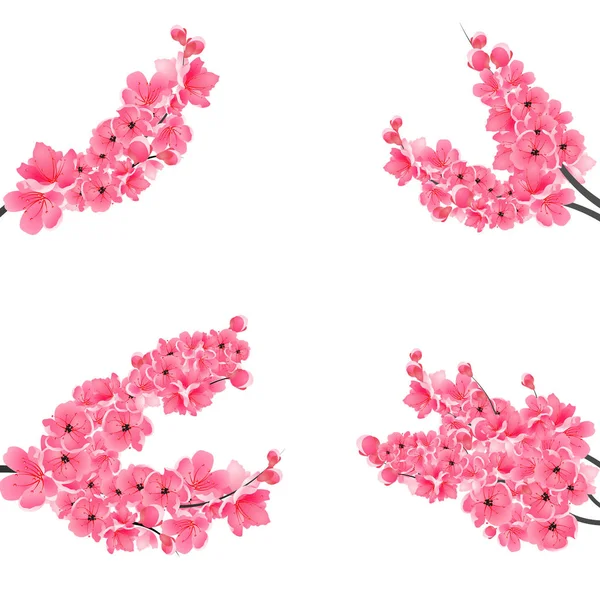 Conjunto de ramos floridos realistas com uma cereja rosa. Sakura. Isolado em fundo branco. Ilustração —  Vetores de Stock