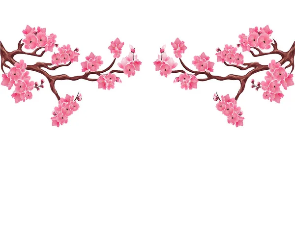 Dos ramas simétricas con flores de cerezo rosa. Sakura. Aislado sobre fondo blanco. ilustración — Vector de stock