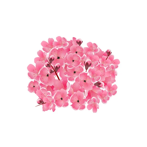 Sakura. Buquê de flores de cereja rosa. Isolado em fundo branco. Ilustração — Vetor de Stock