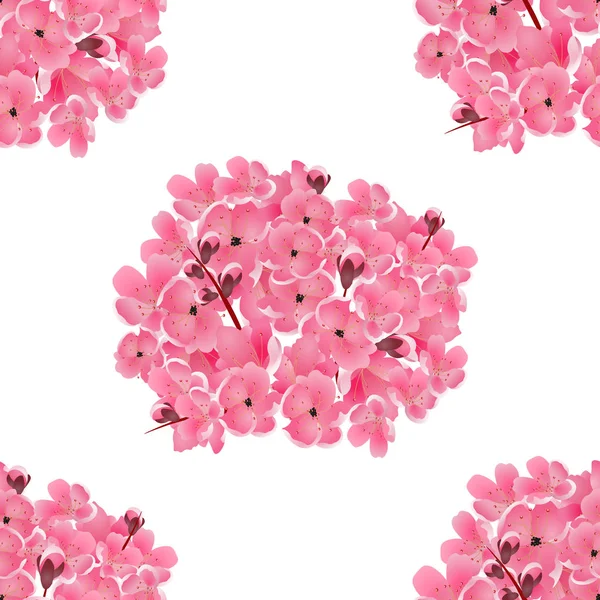 Sakura. Buquê de flores de cereja rosa. Isolado em branco. Fundo sem emenda. Ilustração —  Vetores de Stock