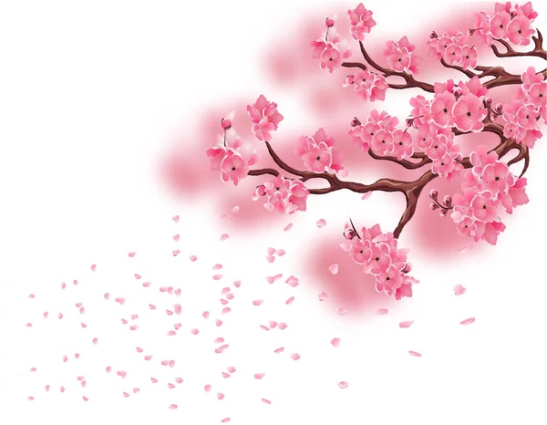 Ágak egy virágzó cseresznye rózsaszín, és nem a koncentrált. Sakura. A szirmok repülni a szélben. Elszigetelt fehér background. illusztráció — Stock Vector