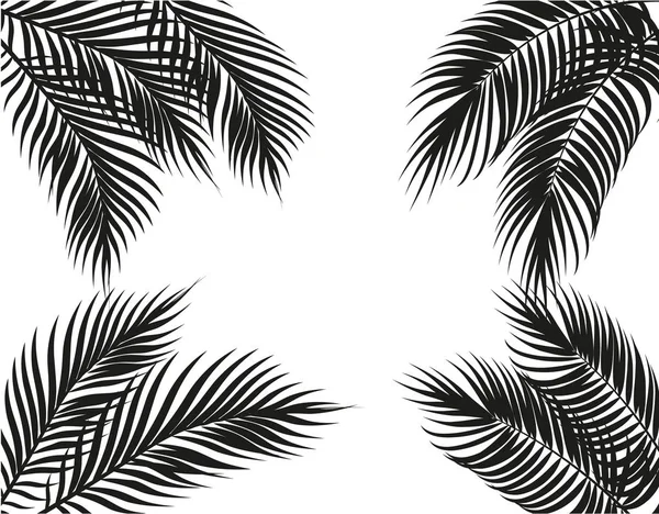 Tropische zwart-wit palm bladeren aan vier zijden. Instellen. Geïsoleerd op een witte achtergrond. illustratie — Stockvector