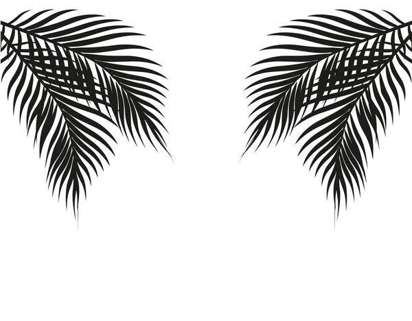 Folhas tropicais de palma preta e branca em ambos os lados. Simétrico. Isolado em fundo branco. Ilustração — Vetor de Stock