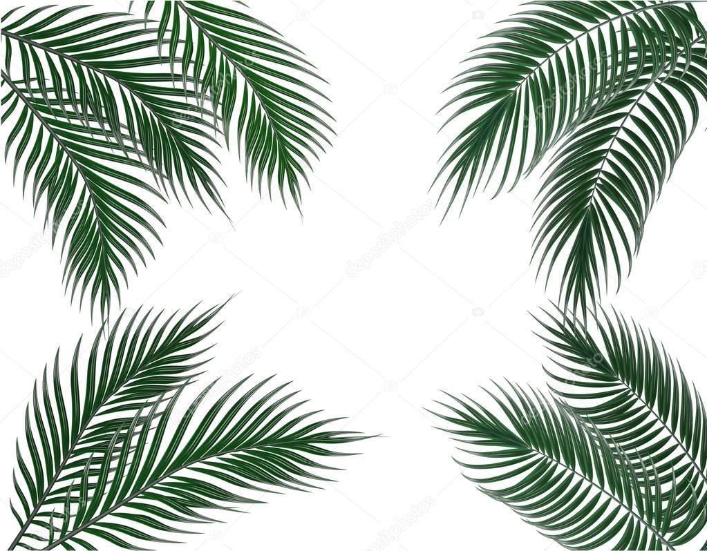 Tropical dark green palm leaves on four sides. Set. Isolated on white background. illustration