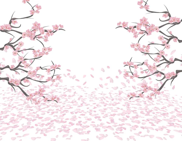 Ramas de una cereza rosada floreciente en ambos lados de la imagen. Sakura. Los pétalos vuelan en el viento y se acuestan en el suelo. Aislado sobre fondo blanco. ilustración — Vector de stock