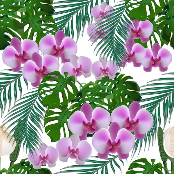 Jungle. Groene tropische bladeren, orchideebloemen en monsters. Naadloze. Geïsoleerd op een witte achtergrond. illustratie — Stockvector