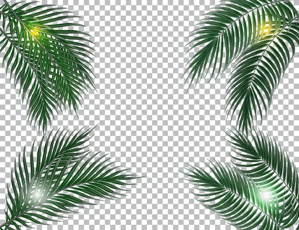 Feuilles de palmier vert foncé tropicales sur quatre côtés. Rayons solaires. Isolé sur fond de damier. illustration — Image vectorielle