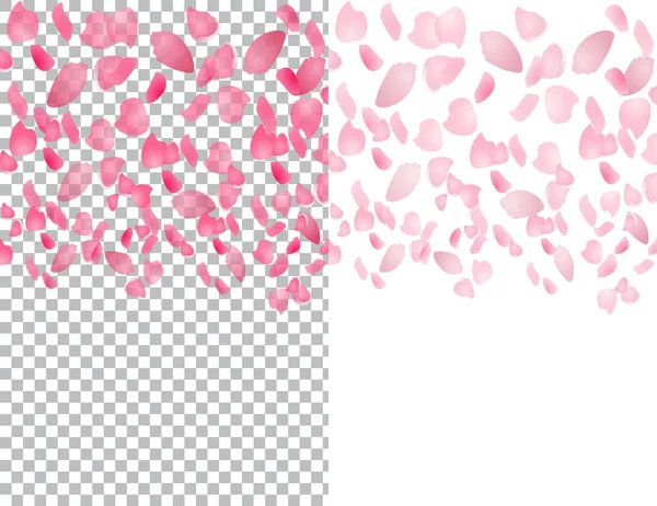 Vliegende doorschijnend bloemblaadjes van sakura bloemen. Op een geruite en witte achtergrond. illustratie — Stockvector