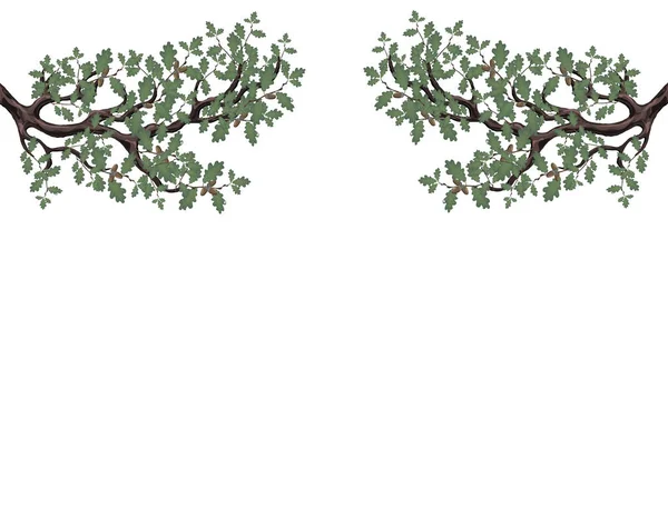 Két zöld ág tölgy makk mindkét oldalán. Térfogatos rajz nélkül a rács és a gradiens. Elszigetelt fehér background. illusztráció — Stock Vector