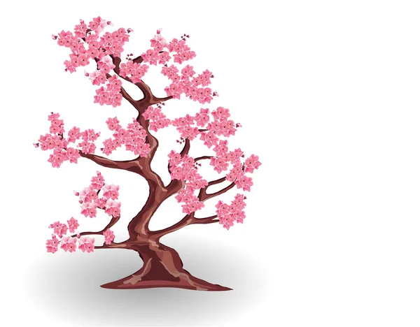 Cerejeira com flores cor de rosa. Sakura. isolado em fundo branco. Ilustração — Vetor de Stock