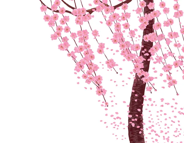 Ramos com flores rosa e botões de cereja, o tronco de uma árvore. Sakura. As pétalas voam ao vento. isolado em fundo branco. Ilustração — Vetor de Stock