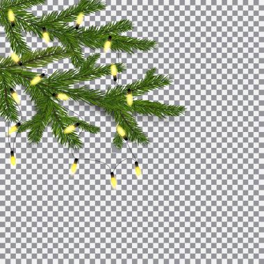 Noel ve yeni yıl sembolü. İki yeşil yemyeşil dalı Ladin ekose desenli arka planı. Çelenk ile dekore edilmiştir. illüstrasyon