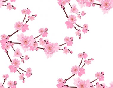 Sakura. Şube nazik yemyeşil çiçek ve kiraz tomurcukları ile. Sorunsuz bir mesh ve degrade olmadan. illüstrasyon